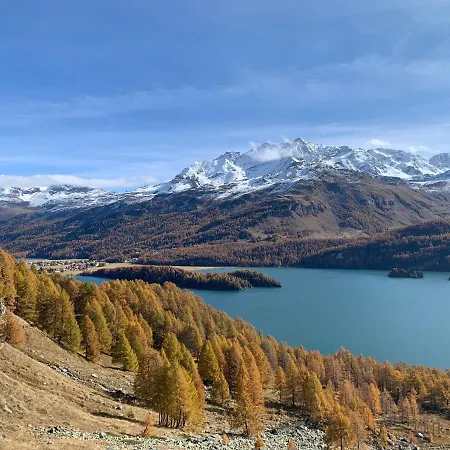 公寓 Chesa Munteratsch 1 1 2-zimmerwohnung 209 Typ D *