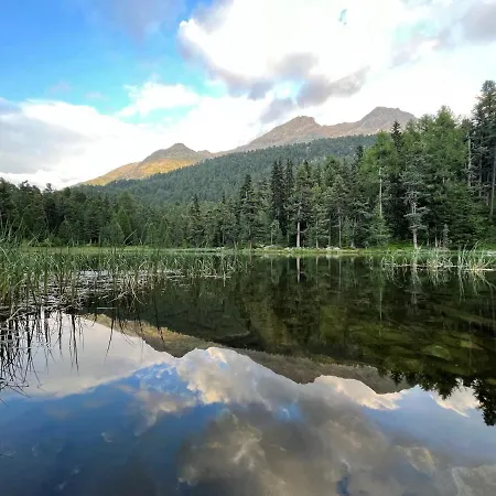 Chesa Munteratsch 1 1 2-zimmerwohnung 209 Typ D * 席尔瓦普拉纳