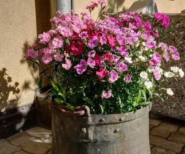 Daire Chesa Munteratsch 1 1 2-zimmerwohnung 209 Typ D *