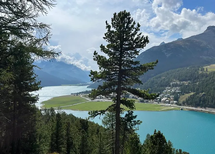 Chesa Munteratsch 1 1 2-zimmerwohnung 209 Typ D * Silvaplana