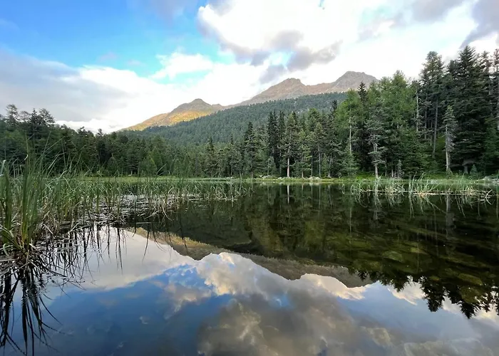 Chesa Munteratsch 1 1 2-zimmerwohnung 209 Typ D * Silvaplana