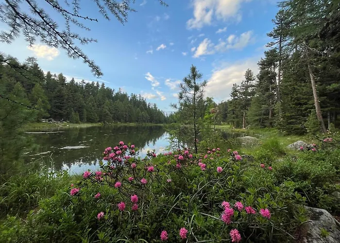 Appartamento Chesa Munteratsch 1 1 2-zimmerwohnung 209 Typ D