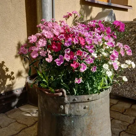 דירה Chesa Munteratsch 1 1 2-zimmerwohnung 209 Typ D *