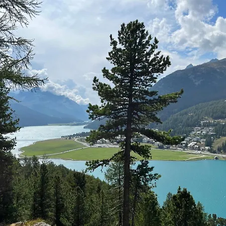 Chesa Munteratsch 1 1 2-zimmerwohnung 209 Typ D * סילבפלנה