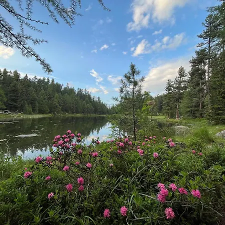 דירה Chesa Munteratsch 1 1 2-zimmerwohnung 209 Typ D